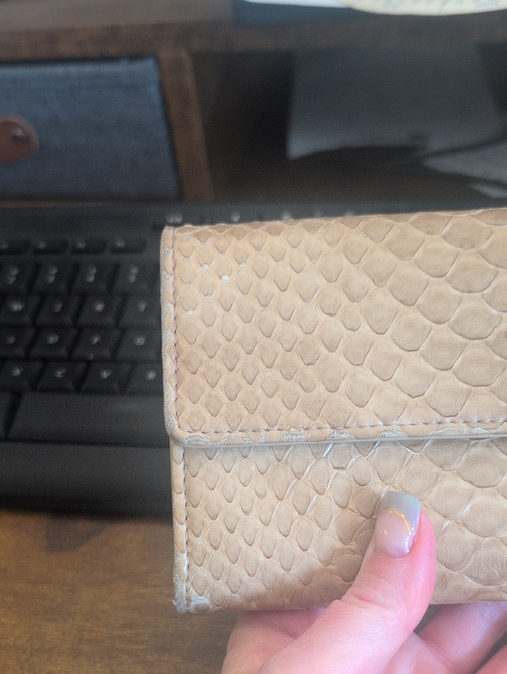 Chanel Python Wallet - Picture 13 of 13